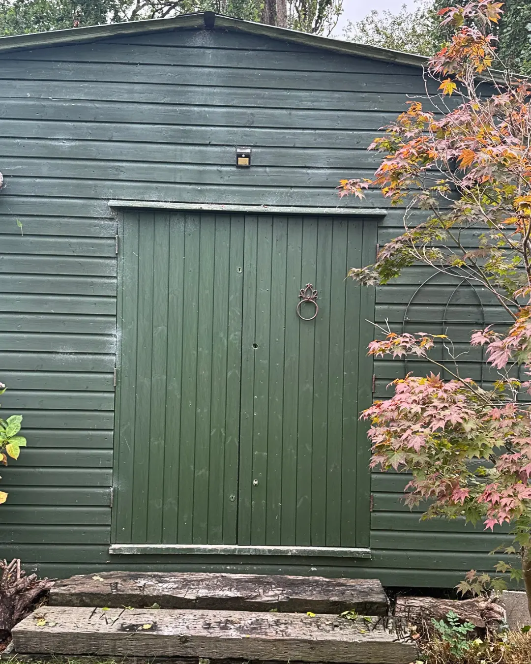 Before - French Doors